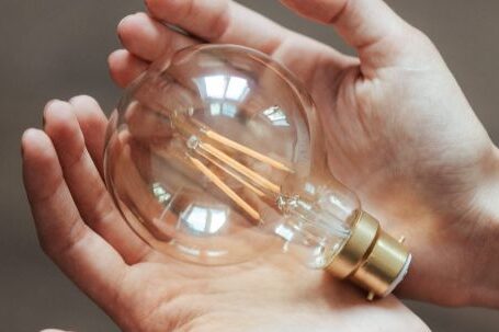 Innovation Boost - Unrecognizable woman demonstrating light bulb in hands