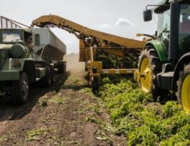Transforming Agriculture: UK Industries’ Farming Technology